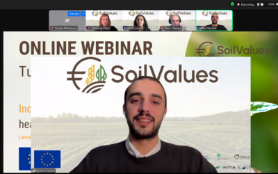 SoilValues Webinar: Incentivising the transition to soil health, regenerative farming practices: Leveraging Blended Finance for effective incentives design