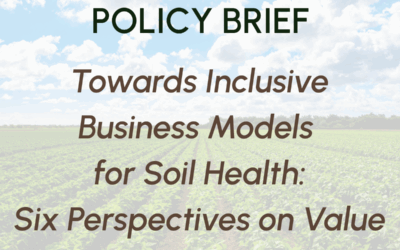 Towards inclusive business models for soil health: six perspectives on value