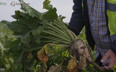 The Polish Testing Ground: Building the SOILPROFIT Business Model